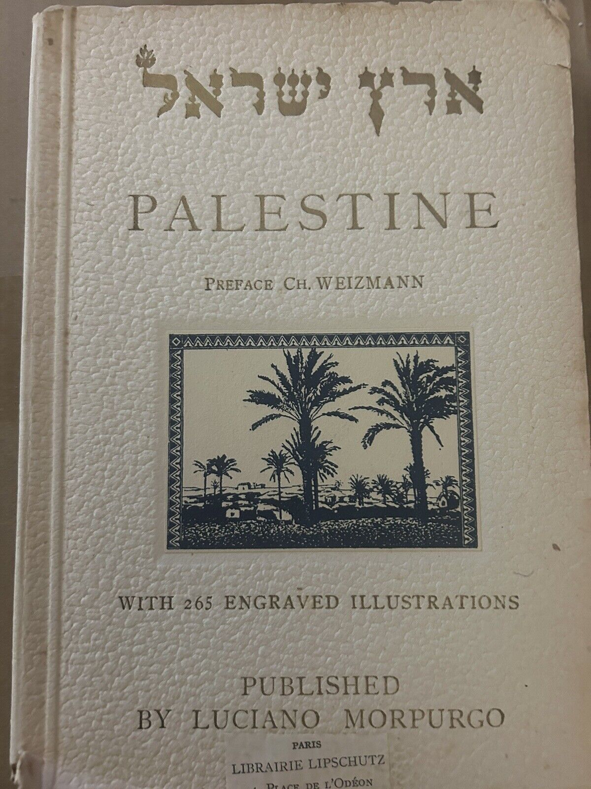 Palestine Eretz Israel Photo Book 1930 Morpurgo
