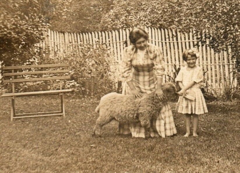 Mother & Daughter with wooly sheep 1920s era RPPC Vintage RP1