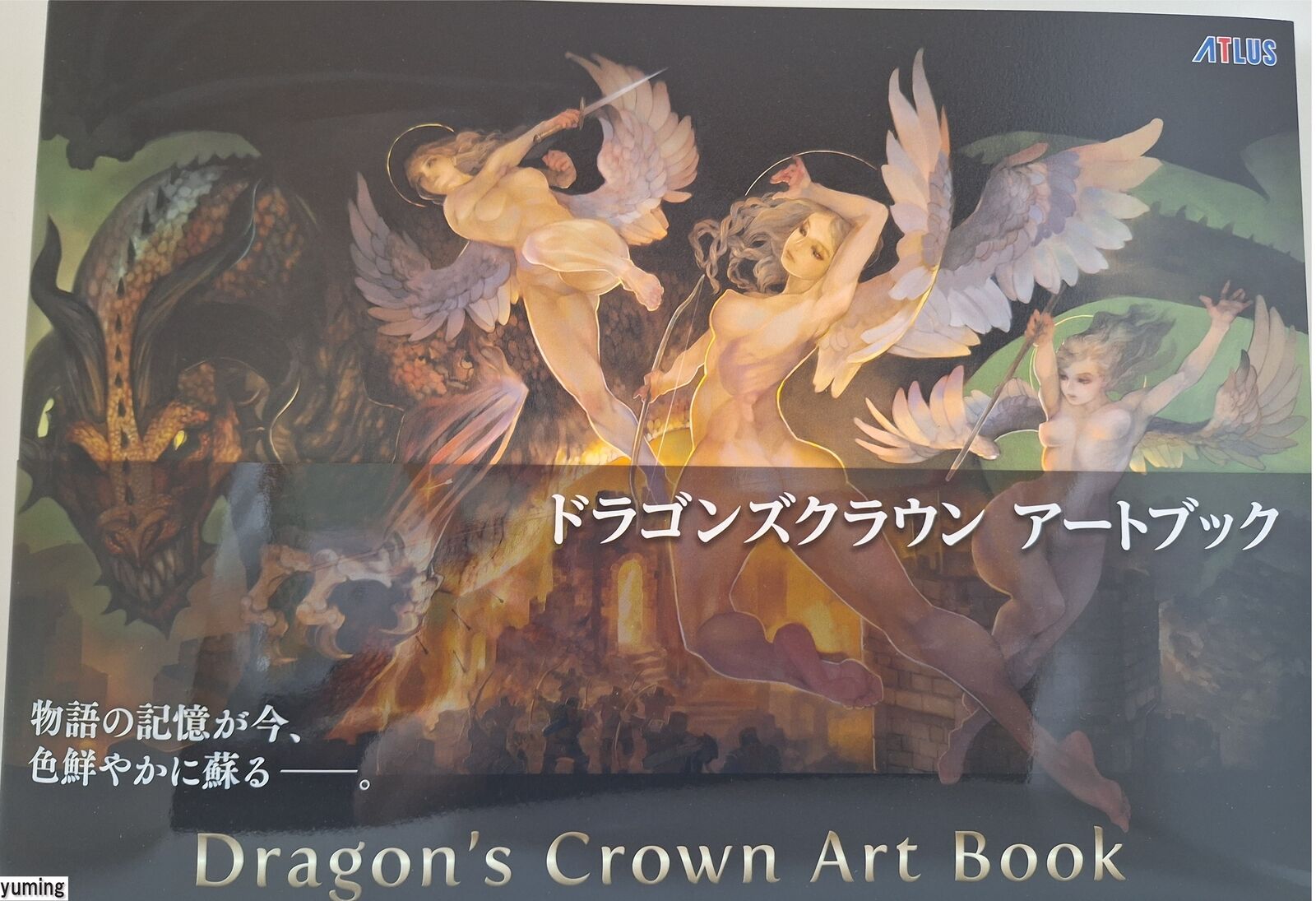 Dragon\'s Crown Art Book 