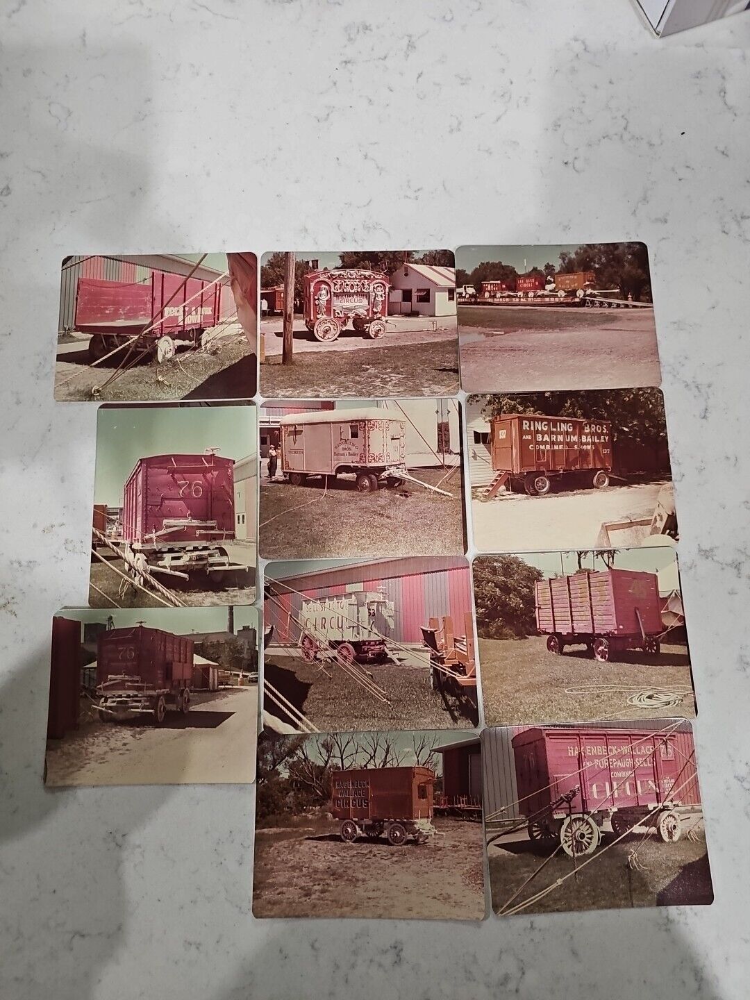 1981 Circus Museum Barnaboo Photos  Lot Of 11 Photos Excellent Lot 2