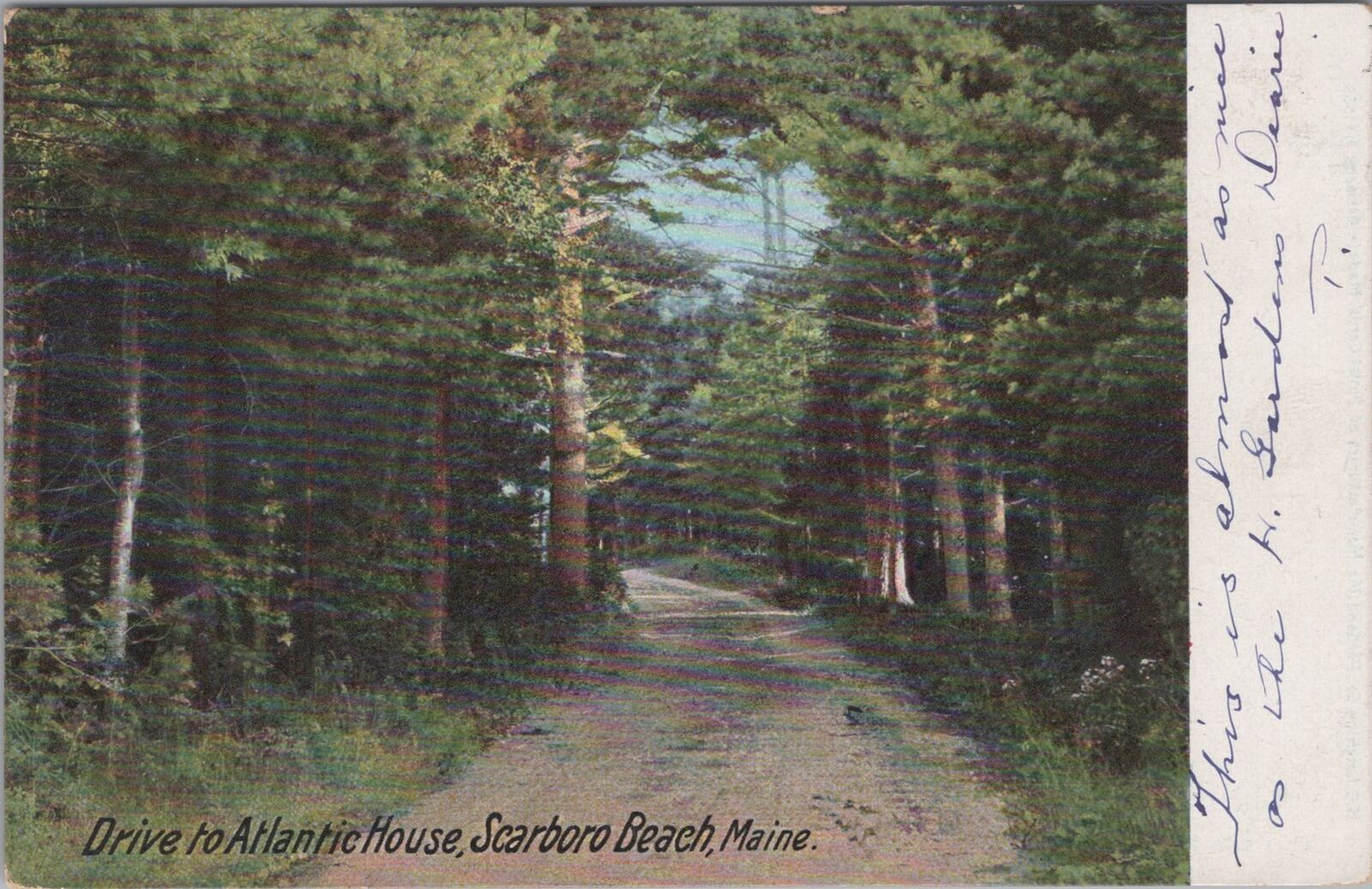 Drive to Atlantic House, Scarboro Beach, Maine Postcard